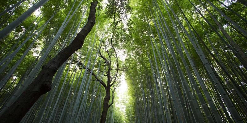 全文检索的边界在哪里：理性看待工具